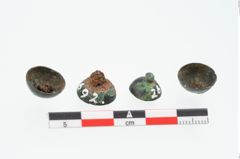 Foto von Bronzenietkopf (NHMW-PRAE-026692)